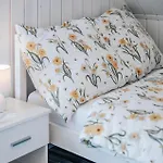 Cozy In With Wifi * Laliki